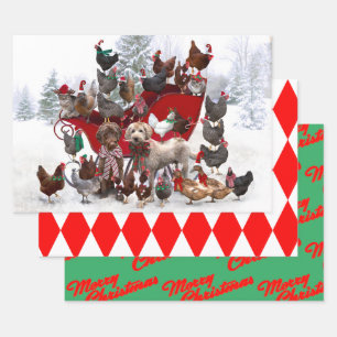 CHICKENS CON SANTA OATOS Y PERROS ARRASTRAR PAPEL