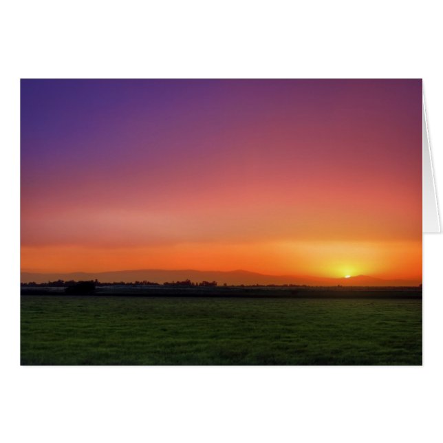 Chico (Anverso (Horizontal))