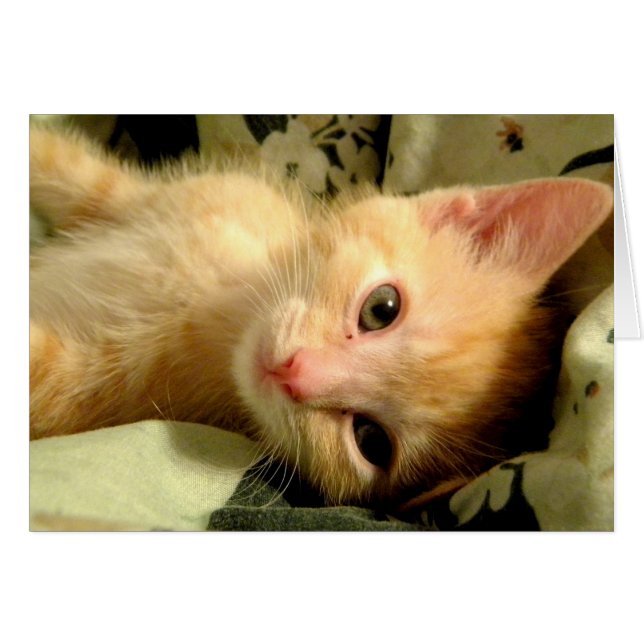 Chico somnoliento I (Anverso (Horizontal))