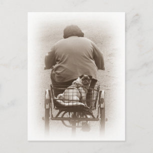 Chico Y Perro De Pug Buscando Una Postales De Viaj