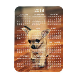 Chihuahua 2018 Calendario foto imán 3x4 pequeño