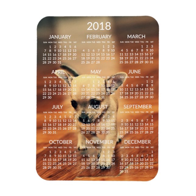 Chihuahua 2018 Calendario foto imán 3x4 pequeño (Vertical)