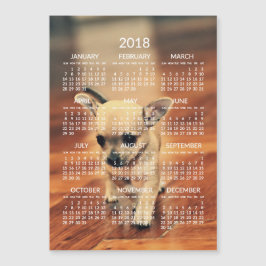 Chihuahua 2018 Calendario Foto Tarjeta magnética 5