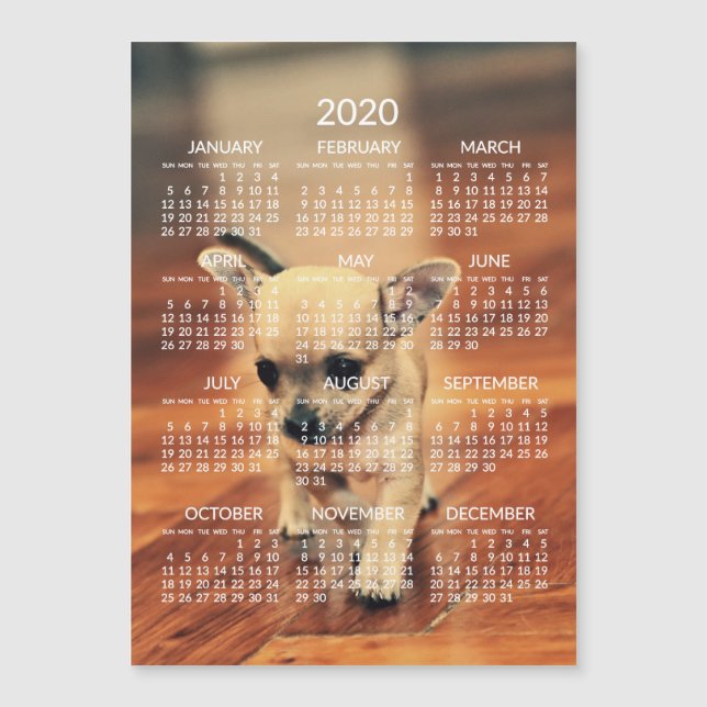 Chihuahua 2020 Calendario Foto Tarjeta magnética 5 (Anverso)