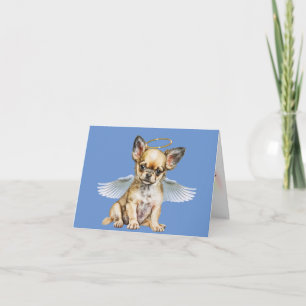 Chihuahua Angel Pérdida de Tarjeta Mascota