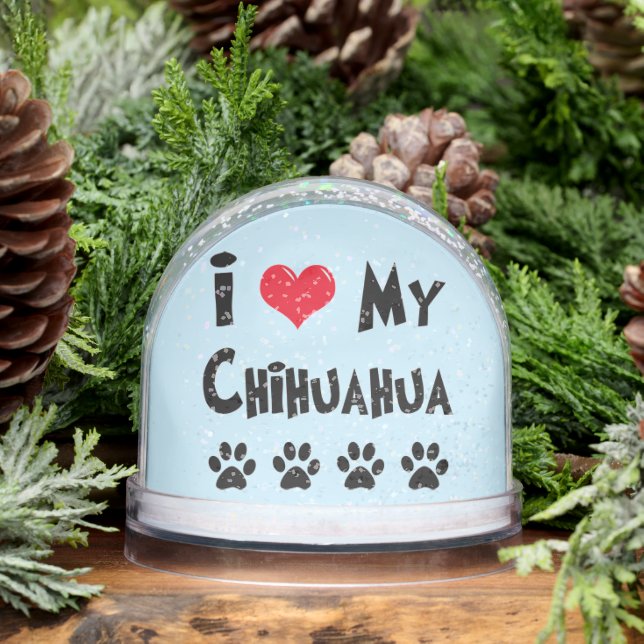 Chihuahua capturada (Invierno)
