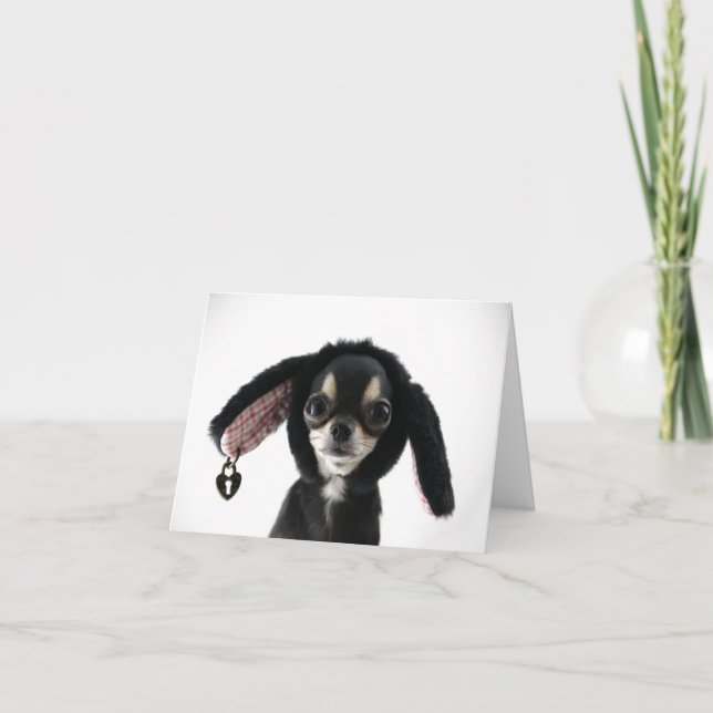 Chihuahua con ojos grandes con tarjeta de orejas p (Anverso)