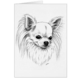 Chihuahua de Longcoat