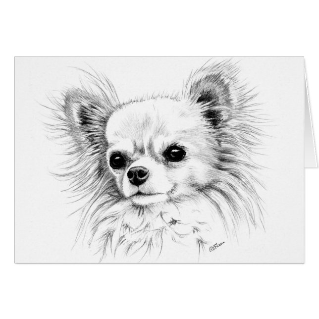 Chihuahua de Longcoat (Anverso (Horizontal))