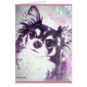 Chihuahua de pelo largo