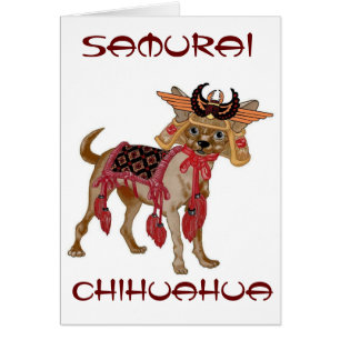 Chihuahua del samurai