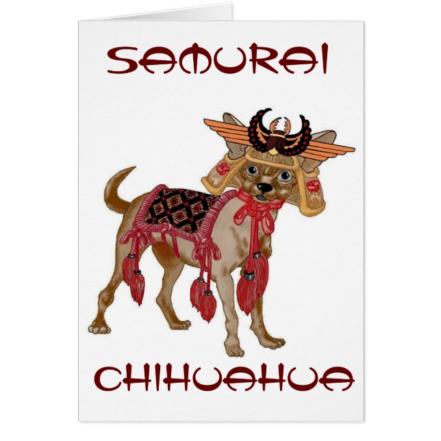 Chihuahua del samurai (Frente)
