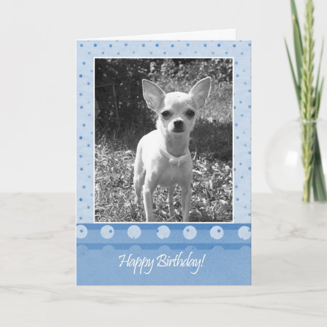 Chihuahua Dog Tarjeta de felicitación de cumpleaño (Anverso)