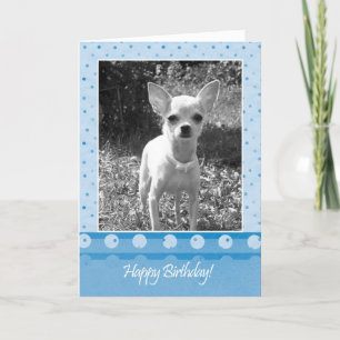 Chihuahua Dog Tarjeta de felicitación de cumpleaño