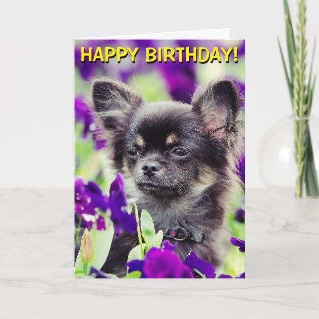 Chihuahua en flor tarjeta de cumpleaños (Anverso)