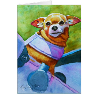 Chihuahua en un Stroller