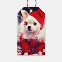 CHIHUAHUA EN UNA Etiqueta De Regalo De Santa hat
