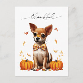 Chihuahua Fall Tarjeta de saludo de Acción de Grac