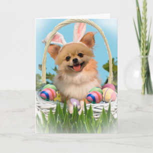 Chihuahua: Felices tarjetas de Pascua