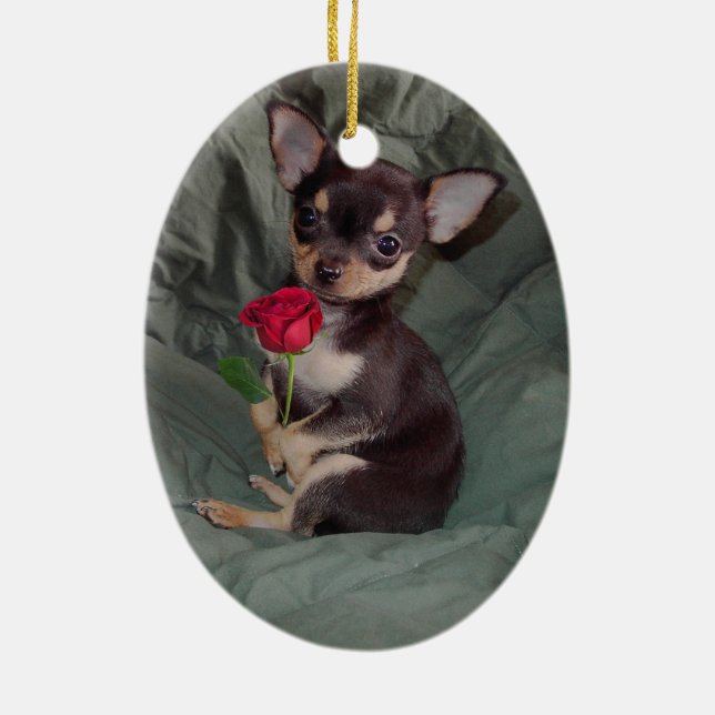 Chihuahua MerryRose que sostiene un ornamento (Atrás)
