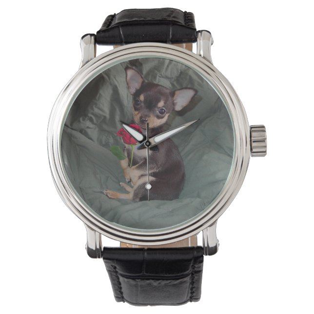 Chihuahua MerryRose sosteniendo un reloj Rosa (Anverso)