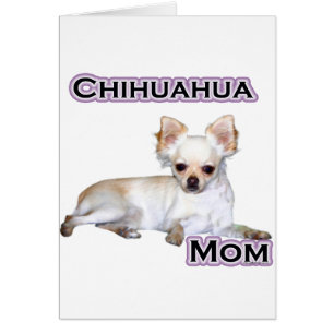 Chihuahua Mom 4