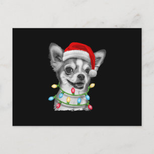 chihuahua santa luces de árbol de navidad regalos