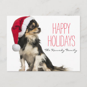 Chihuahua vistiendo un gorra navidad