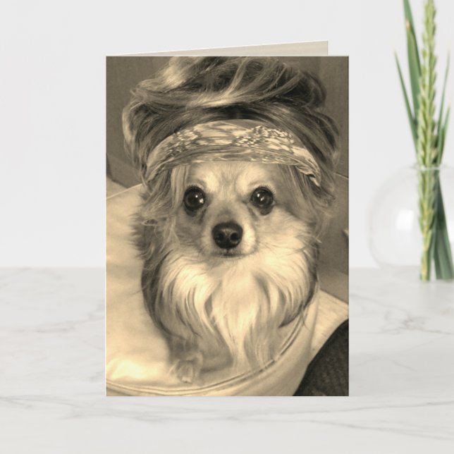 Chihuahua vistiendo una peluca en la tarjeta de cu (Anverso)