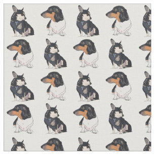 Chihuahua y Dachshund/cacahuete y tela de la