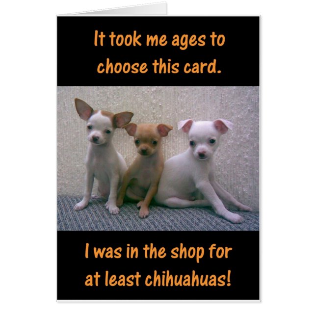 Chihuahuas (Frente)