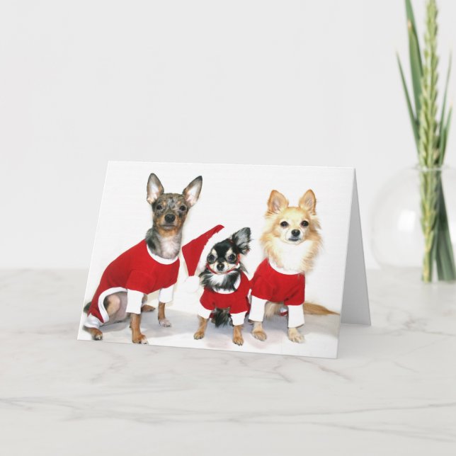 Chihuahuas del navidad (Anverso)
