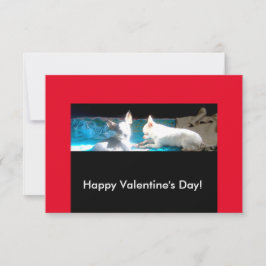 Chihuahuas en las tarjetas de San Valentín