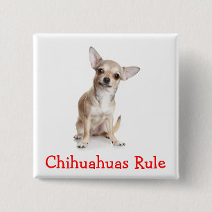 Chihuahuas Mandan Pin de Botón