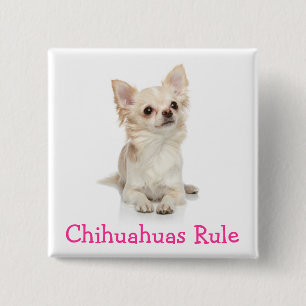 Chihuahuas Mandan Pin de Botón