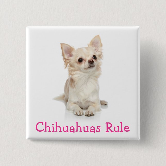 Chihuahuas Mandan Pin de Botón (Anverso)