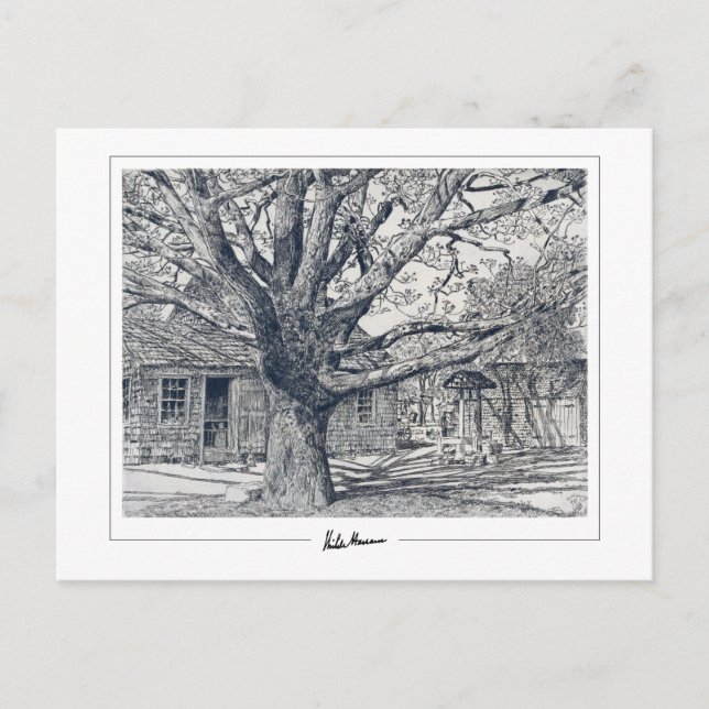 Childe Hassam #237-2 - Postal Bella Artes (Anverso)