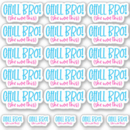 ¡Chill Bro! (Ganó esto) Pegatina vinílico