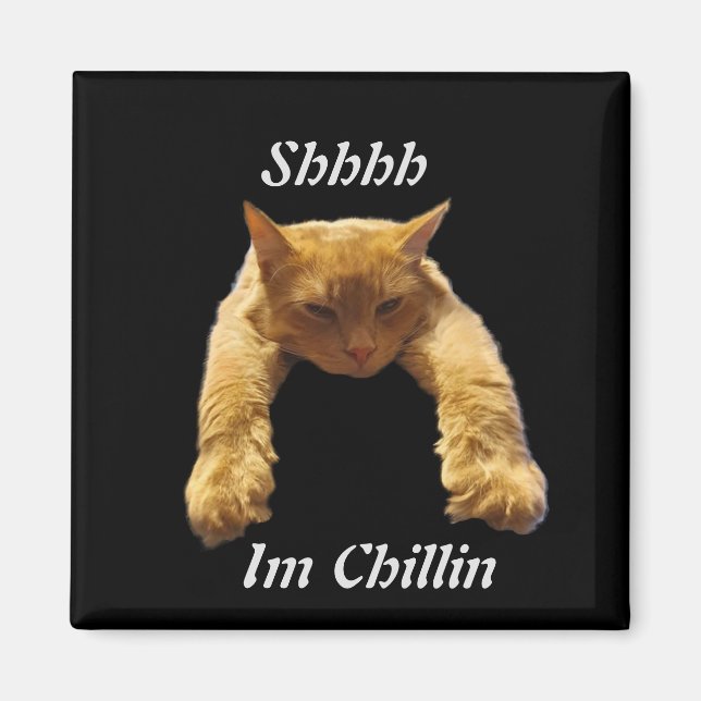 Chillín de gato marrón perezoso, imán frigorífico (Frente)