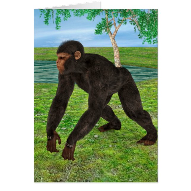 Chimpancé (Frente)