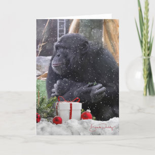 Chimpancés con Navidades ¡Alegría! Tarjeta en blan