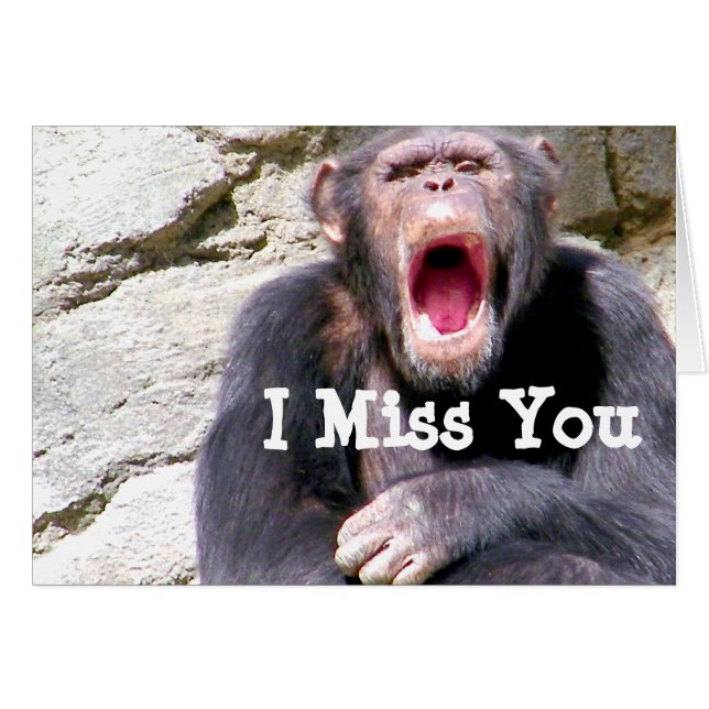 Chimpanzee_ (Anverso (Horizontal))