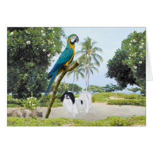 Chin japonés y guacamayo