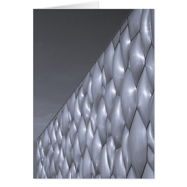 China, Beijing. Centro Nacional de Acuáticos (Frente)