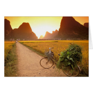 China, Guangxi. Yangzhou, Bicicleta en el campo