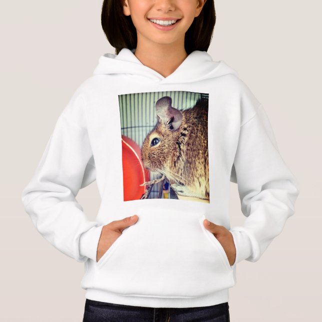 Chinchilla (Anverso)