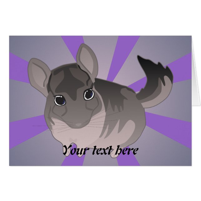 Chinchilla (Anverso (Horizontal))