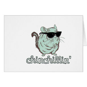 Chinchilla azul de Chinchillin