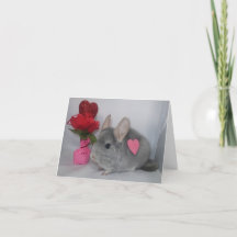 Chinchilla con el corazón al lado de la tarjeta de