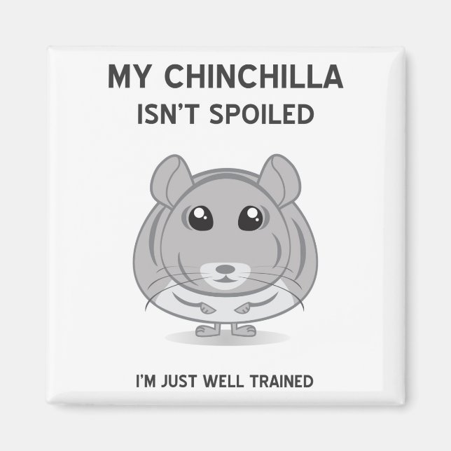 Chinchilla no es un imán viciado (Frente)